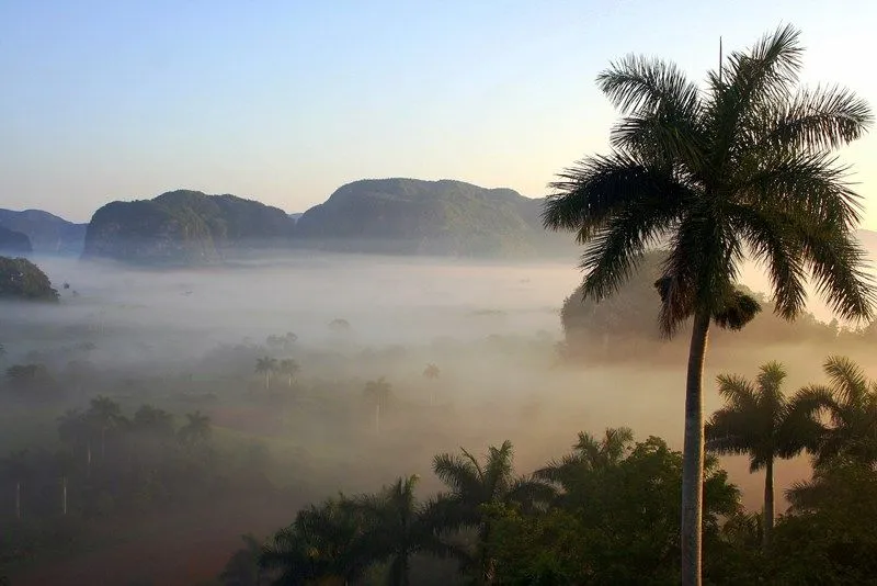 Viñales
